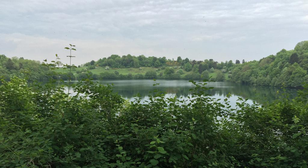 Fewo-Eifel-Mediterran Daire Schalkenmehren Oda fotoğraf